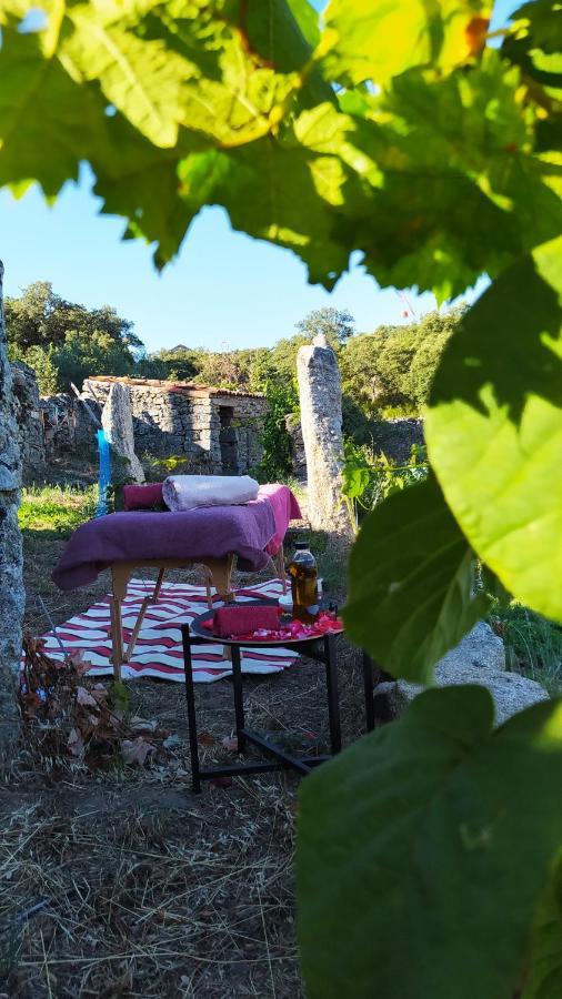 Casa D'Augusta - Agroturismo Miranda do Douro Dış mekan fotoğraf